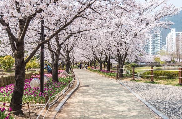 “김해의 봄 길을 걷다” -연지공원