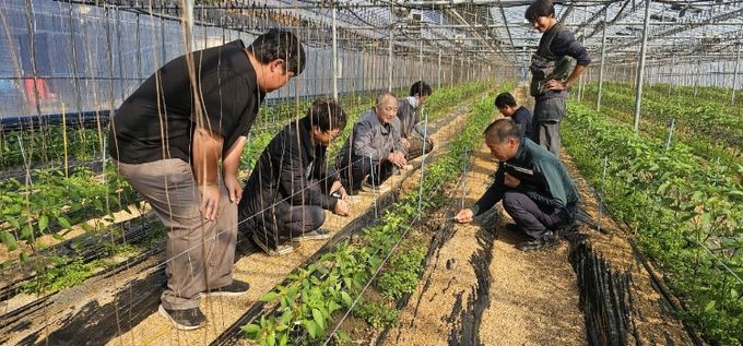 2025년 고추 분야 농업기술명장 징검다리 교육 현장 모습