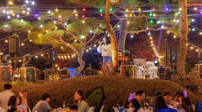 '2026년 합천호 별꽃야시장 축제'성료