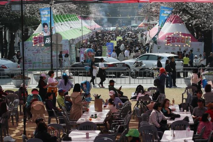 주말 진해군항제, 벚꽃 만개 아래 역대급 인파 기록