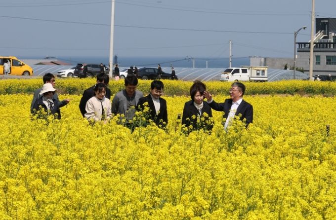 장상길 포항시장 권한대행, 호미곶 경관농업단지 현장 점검