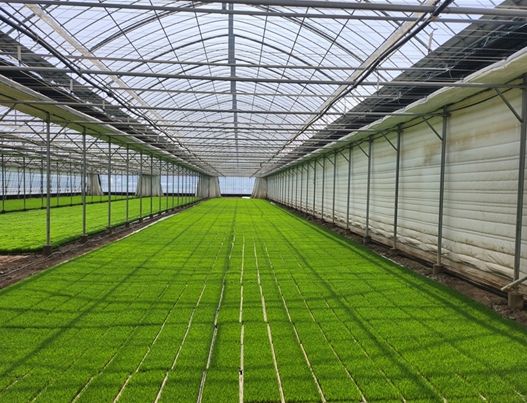 김해시, 벼 육묘상자 처리제 지원